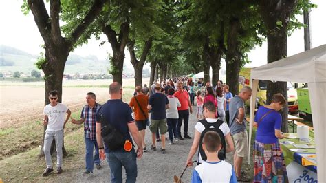 prada mapello festa|«Lungo il viale». Sapori, natura e il Santuario di Prada .